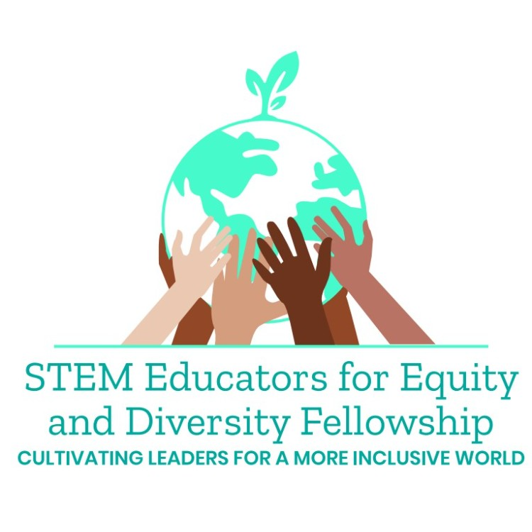STEM Educators for Equity and Diversity Fellowship