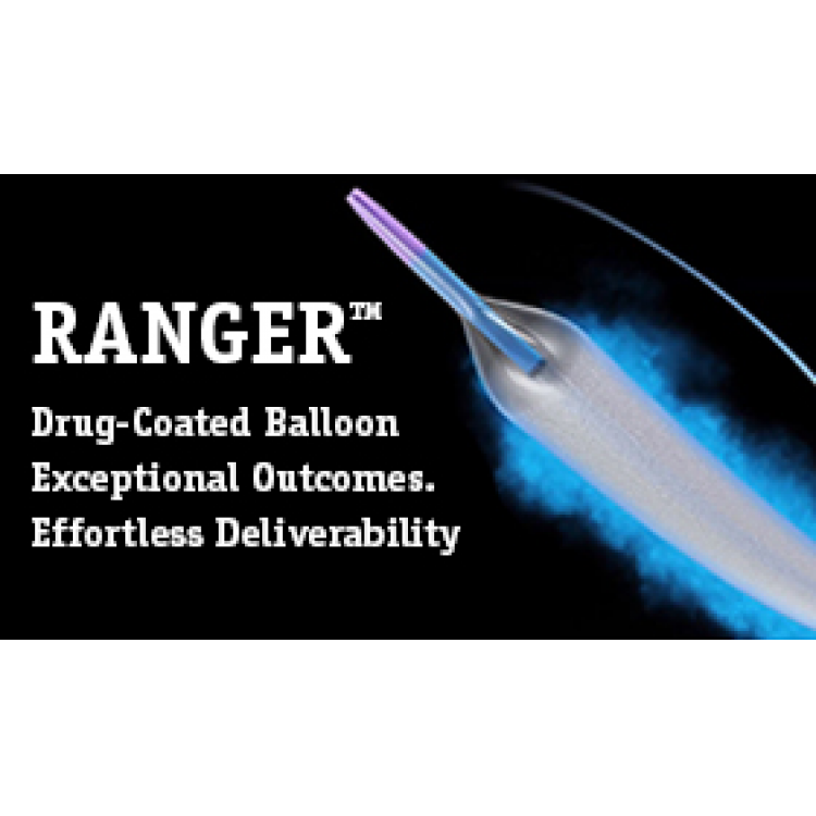 Ranger DCB Sponsor logo