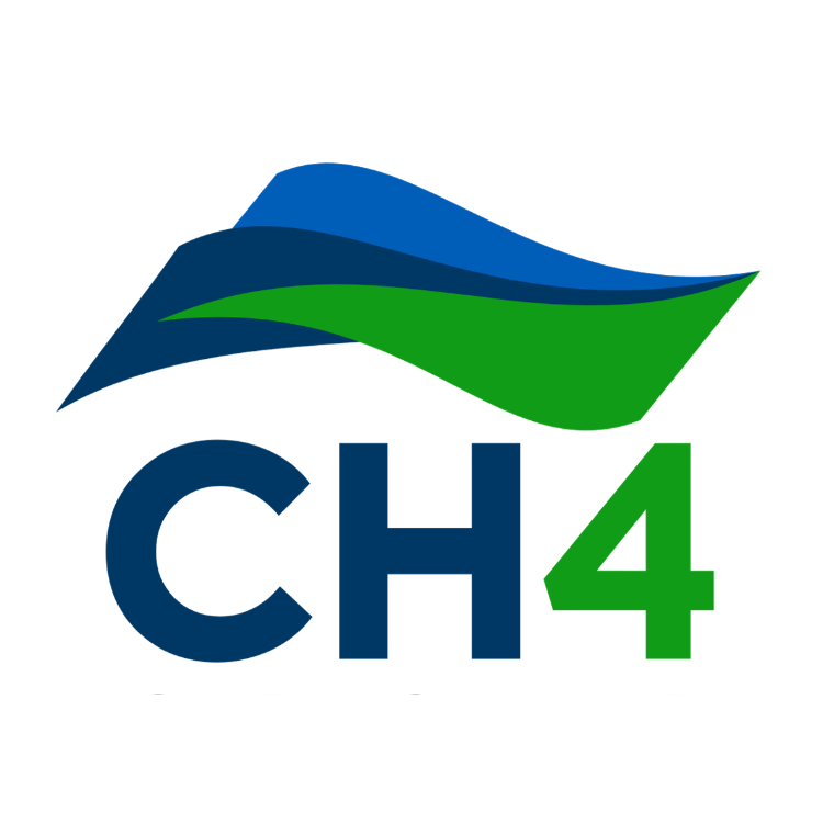CH4 Group (Silver)