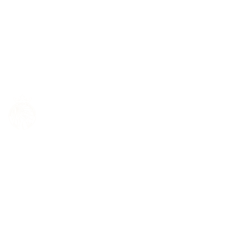 Guanajuato COFOCE Sponsor logo